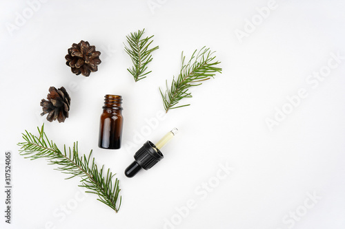 Pine aroma essential oil in brown bottle, fir branches and cones, white background. Spa, beauty, healthcare concept. Top view, flat lay, copy space