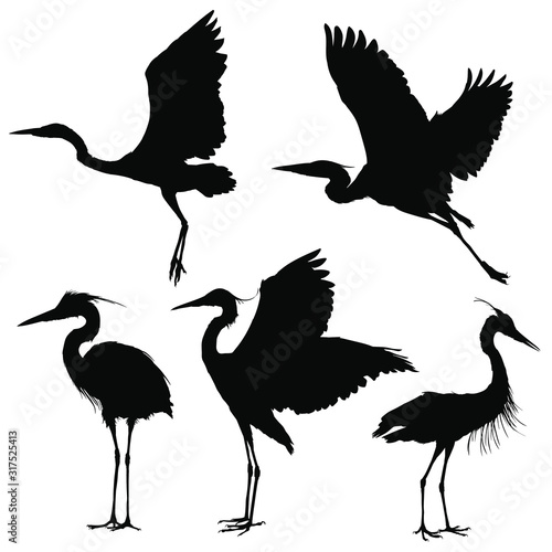 Canvastavla Heron silhouette set. Vector illustration
