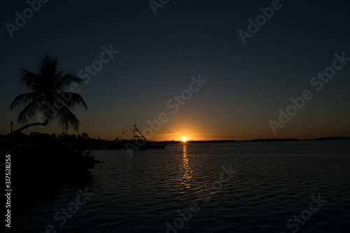 Palm & boat silhouette © Zaida