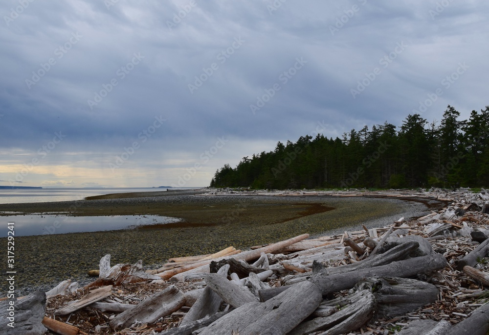 Rebecca Spit beach landscape on a rainy day on Quadra Island, BC Canada 