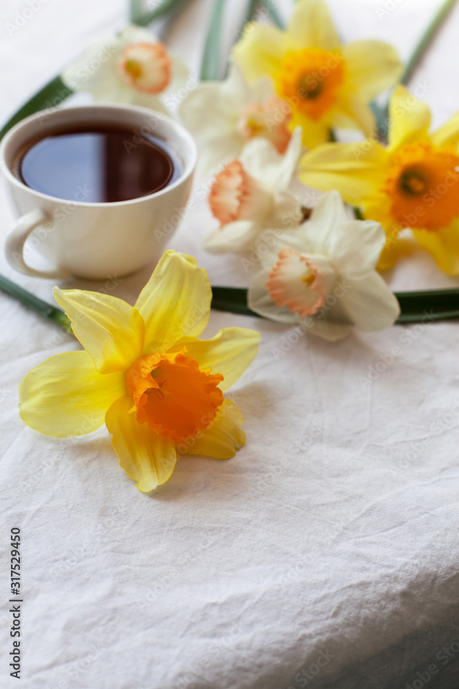 White cup with hot tea or coffee on a table surrounded by fresh white and yellow narcissuses. Beautiful still life with drink and spring flowers, enjoying a coffee break, close up. Selective focus