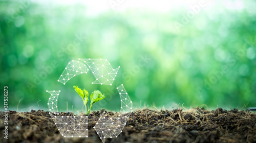 Connecting dots and lines shape Recycle cover small tree with  Connect to industrial icon over blurred green nature background. environment concept.Ecology