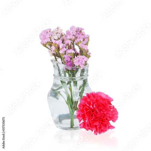 Pink carnation flower  isolated on white background. This has clipping path.