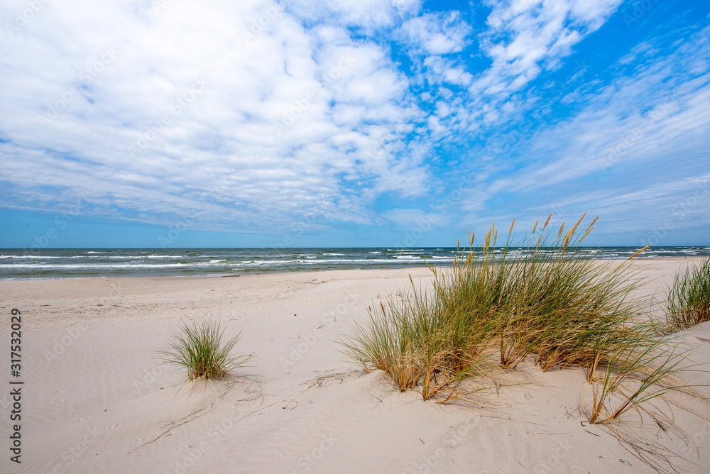 Beautiful summer landscape of sea coast Beautiful summer landscape of sea coast