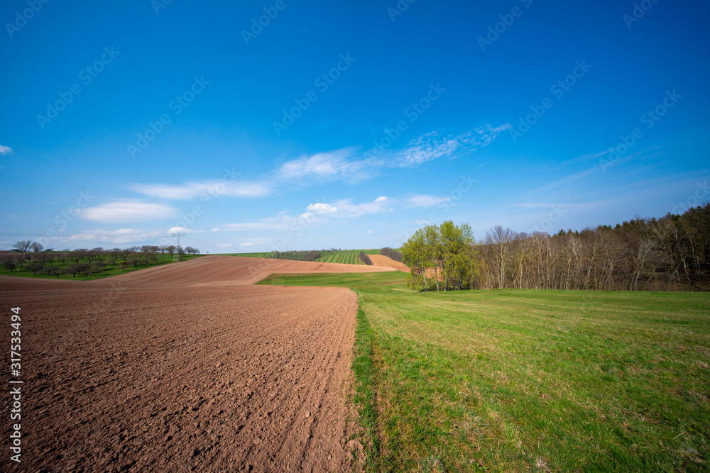 Panorama of spring plowed field