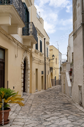 Montescaglioso, historic town in Basilicata photo