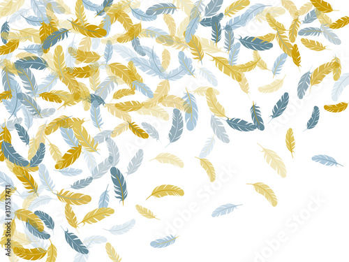 Fluffy twirled feathers on white design.