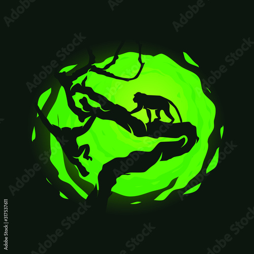 Animal Monkey Night in the Forest
