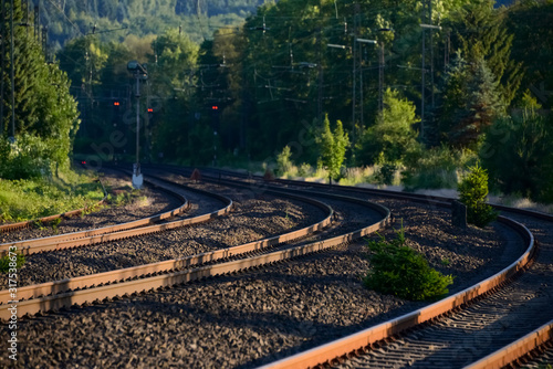 Fotografie Bahngleise Schienen Strecke Kurve Sommer Sonne Vegetation Natur Unkraut wuchern