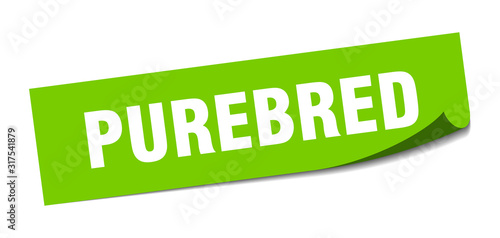 purebred sticker. purebred square sign. purebred. peeler