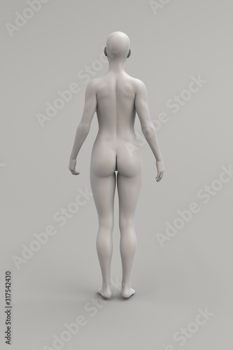 Female body anatomical illustration over a light background.