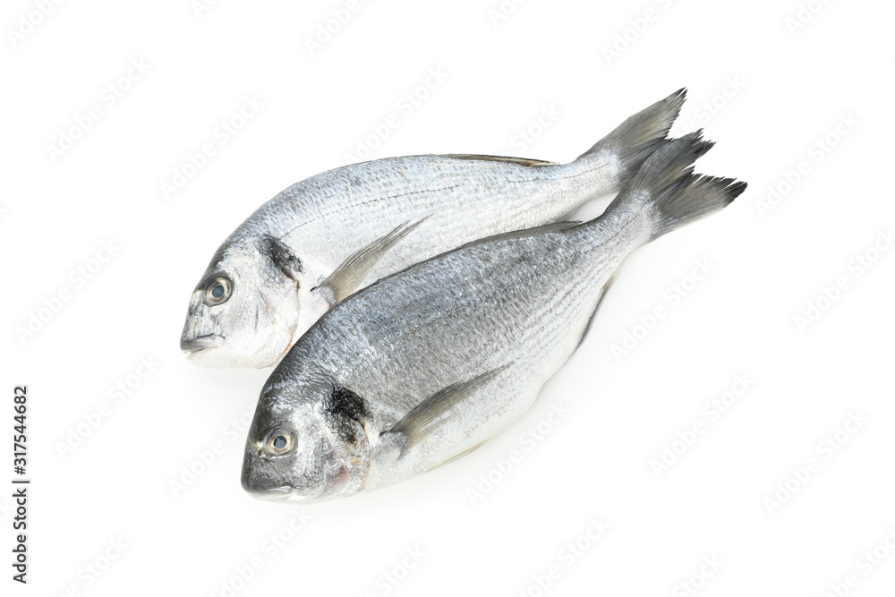 Fresh Dorado fishes isolated on white background Fresh Dorado fishes isolated on white background