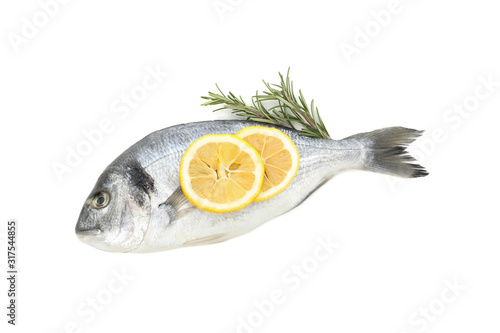 Dorado fish, lemon and rosemary isolated on white background