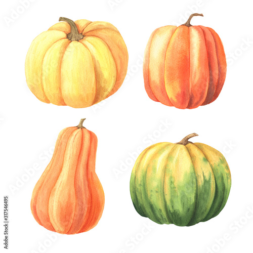 Watercolor hand drawn green, orange, yellow pumpkin