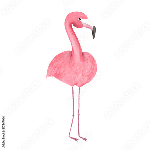 Watercolor tropical pink flamingo bird