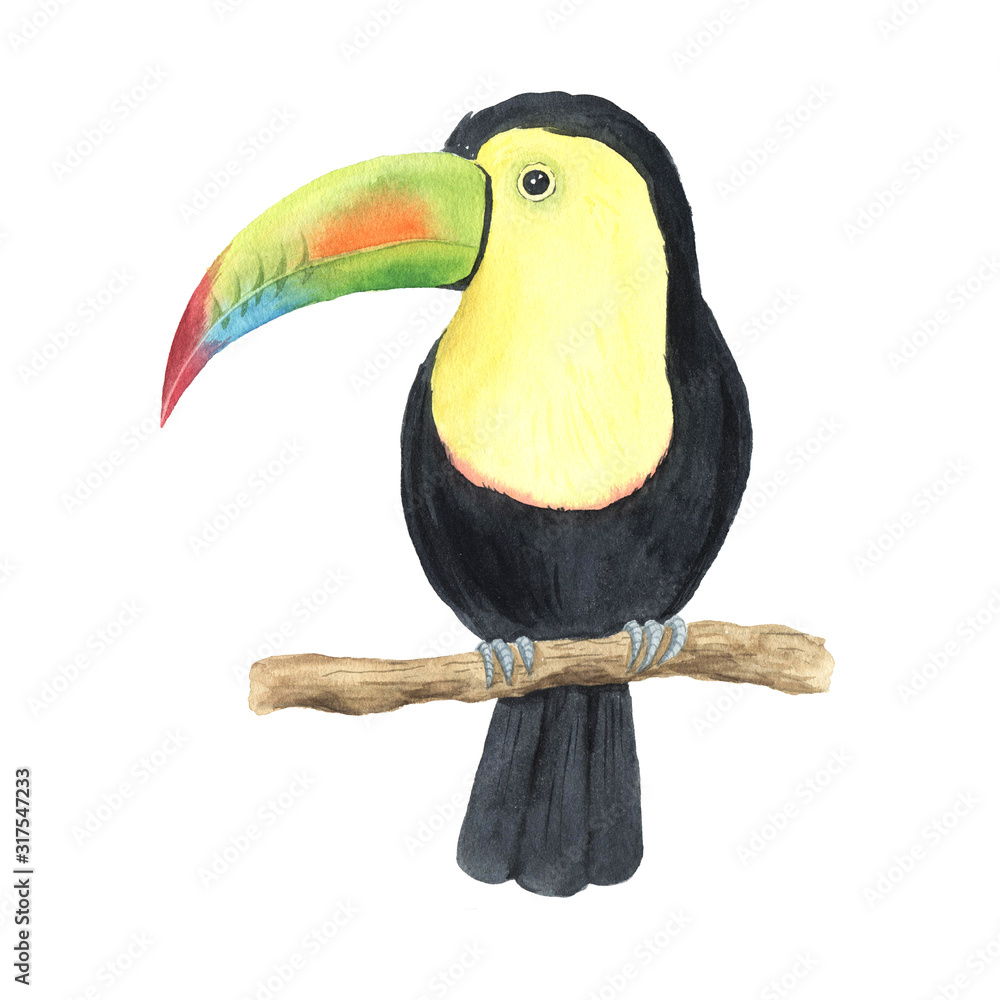 Obraz premium Watercolor colorful tropical toucan