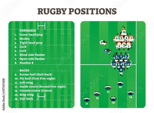 Rugby positions team group figure scheme, vector illustration players set
