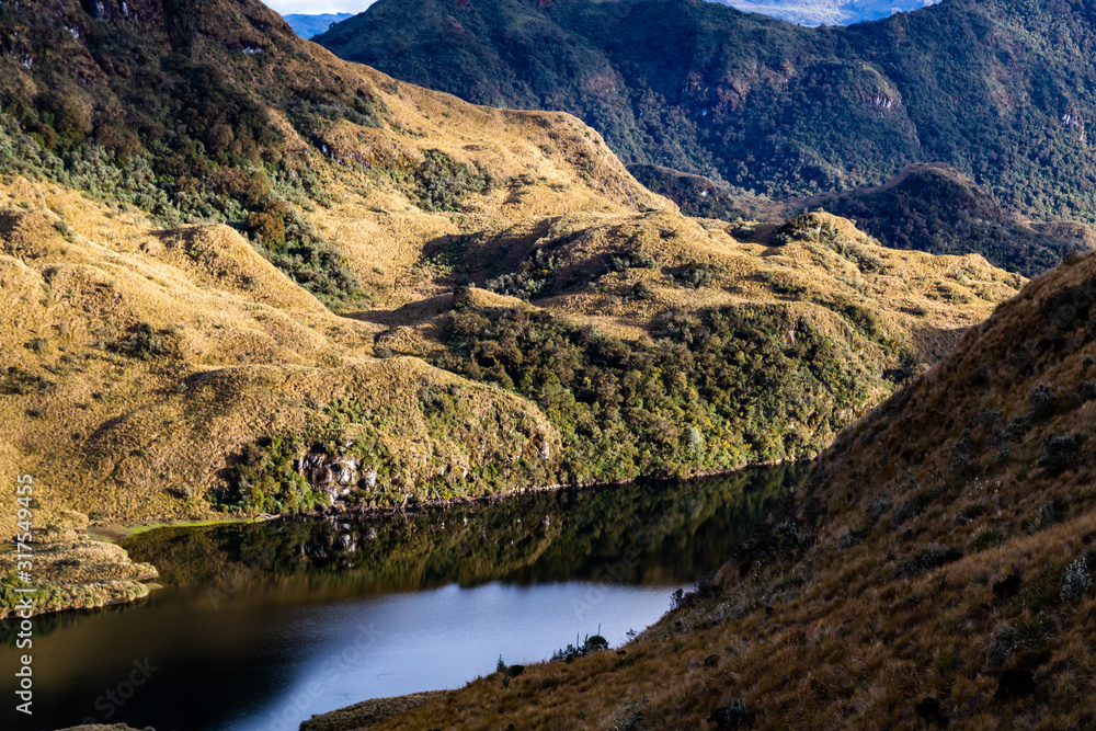 Naklejka premium Cayambe-Coca reserve