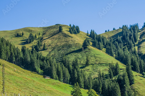 Fototapeta Naklejka Na Ścianę i Meble -  Beautiful swiss alps mountains. Alpine meadows.