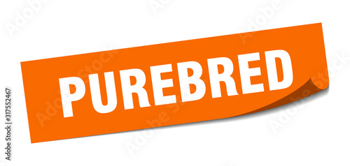 purebred sticker. purebred square sign. purebred. peeler