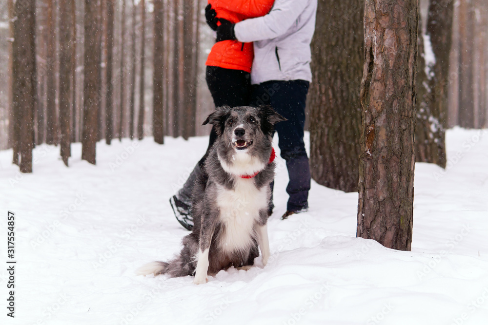 dog contemplates winter forest while its loving owners are busy with each other