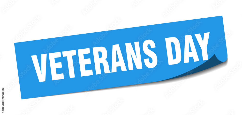 veterans day sticker. veterans day square sign. veterans day. peeler