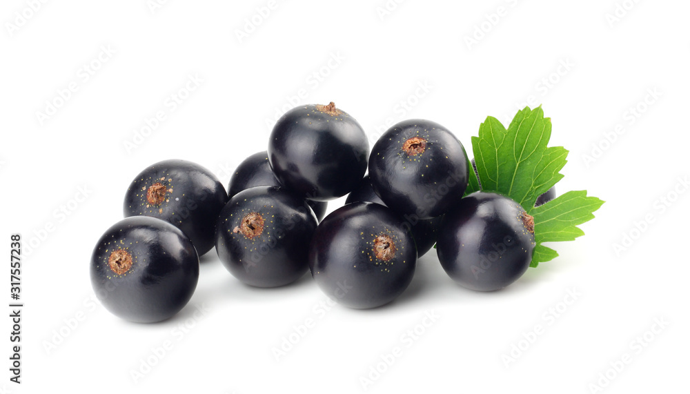 black currant with green leaf isolated on white background. macro black currant with green leaf isolated on white background. macro