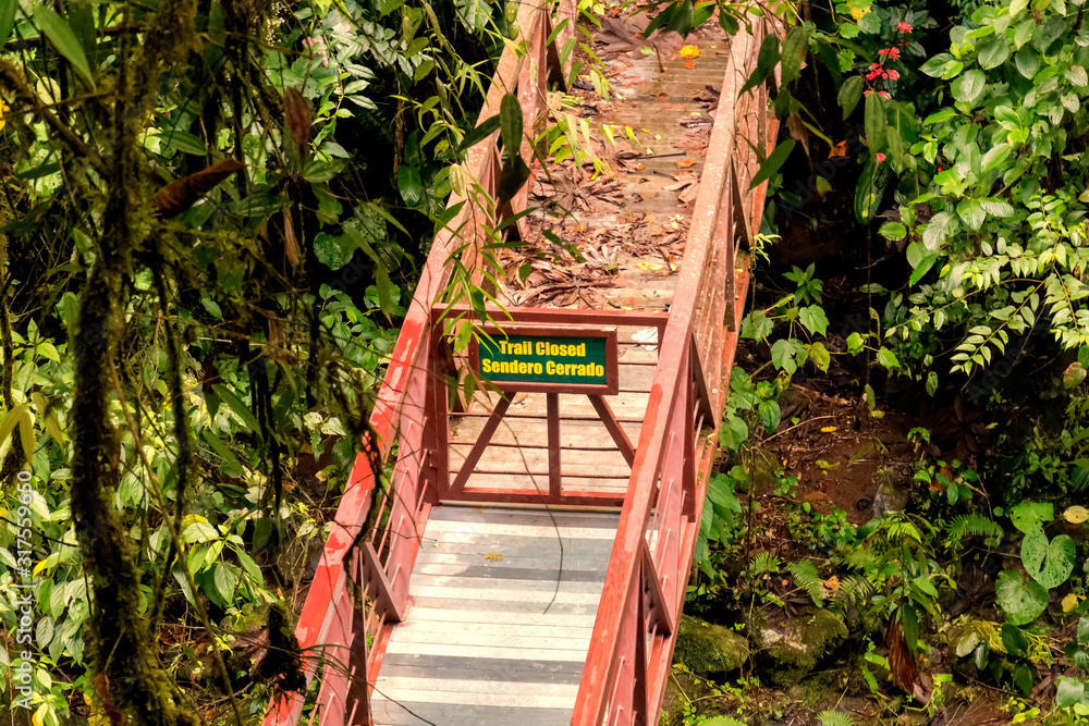 Closed bridge in the deep forest Closed bridge in the deep forest