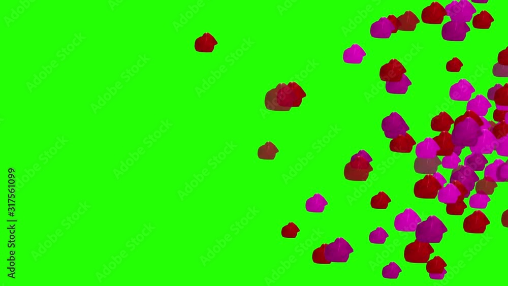 rose petals animation on green screen , editable chroma key for editors rose petals animation on green screen , editable chroma key for editors