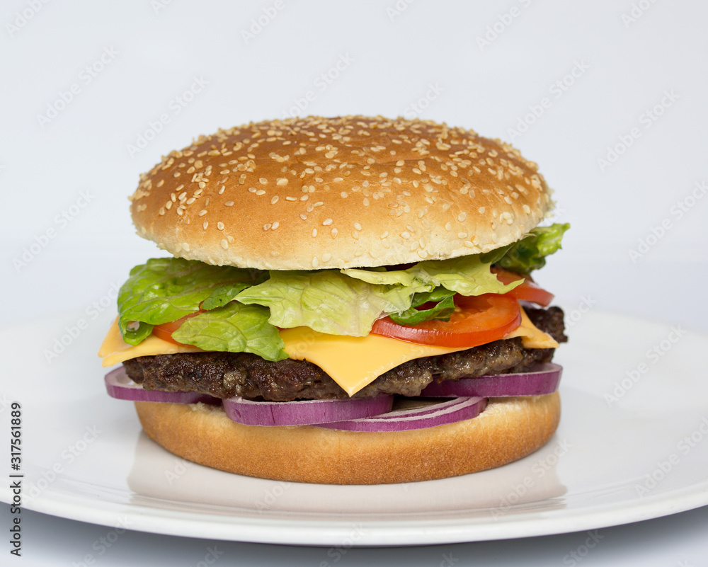American cuisine. Fast food. Burger on a white background. Cheeseburger. Menu American cuisine. Fast food. Burger on a white background. Cheeseburger. Menu