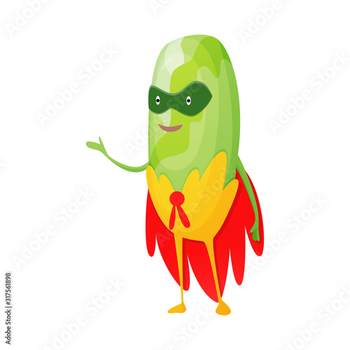 Vector vegetable cartoon character of superhero expression. Funny personage of squash in mask. Vegetarian diet. Isolated on white background