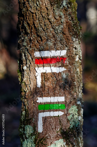 hiking trail signs in Fontainebleau forest