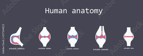 Set of Knee joint health care icon flat