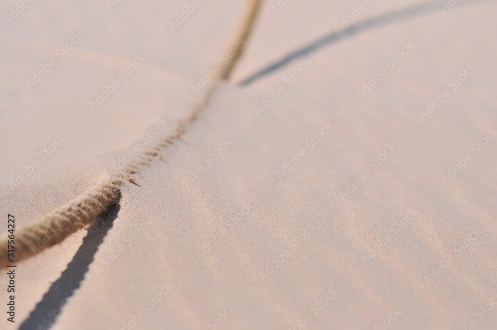 Border rope, line in Slowinski National Park (Słowinski Park Narodowy