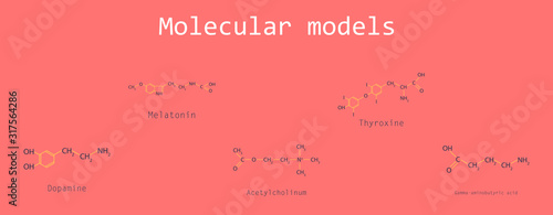 Chemical formulas of food and cosmetic preservatives: parabens, sorbic, benzoic, salicylic, formic, acetic, propionic acids, biphenyl, 2-phenylphenol, thiabendazole and others, vector, eps8