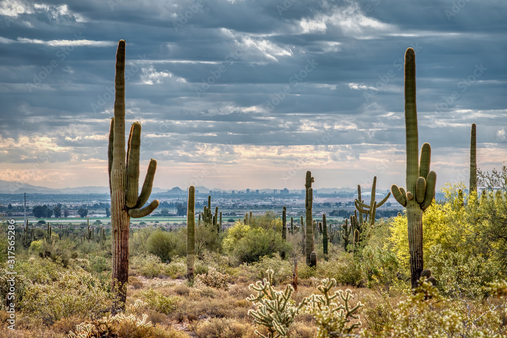 White Tank Mountain State Park Near Phoenix Arizona