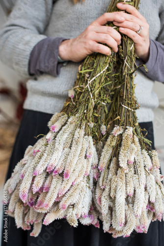Flower farmer holding bunches of dried flowers