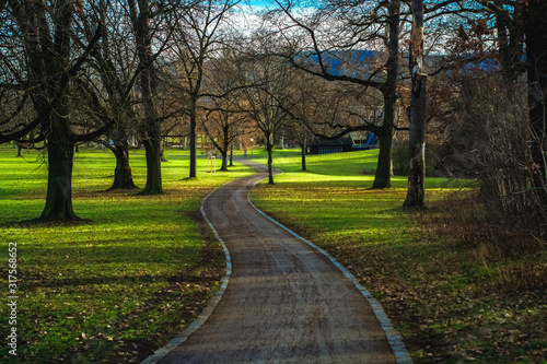 Spacious spring park with green lawn and sunny weather.