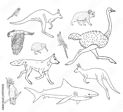 Vector set bundle of hand drawn doodle sketch Australian wild animals isolated on white background
