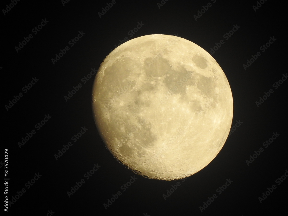 Moon Moon