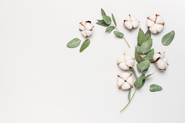 Flat lay flowers composition. Cotton flowers and fresh eucalyptus twigs on light gray background. Top view, copy space. Delicate white cotton flowers. Floral background, greeting card