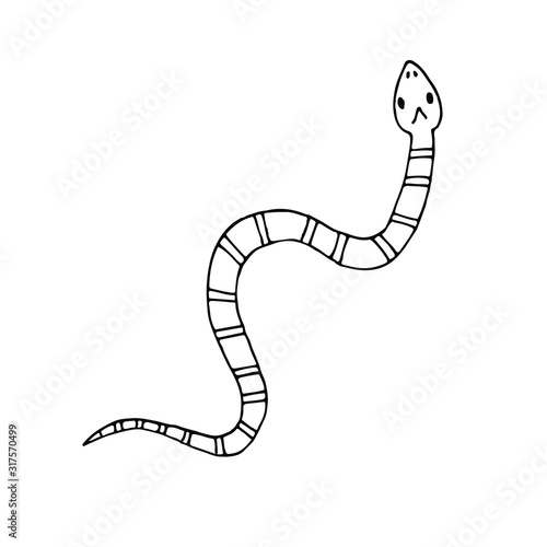 Vector hand drawn doodle sketch coral aspid snake isolated on white background