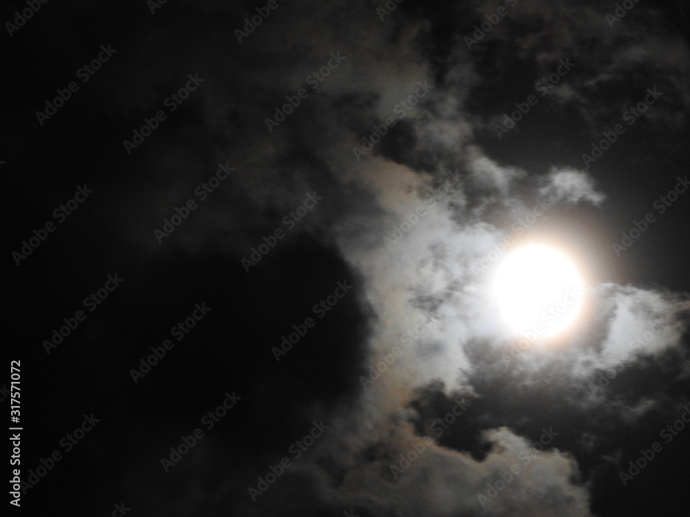 Moon Moon