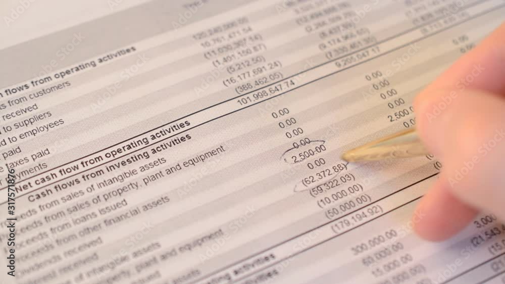 Planning a budget check report Planning a budget check report