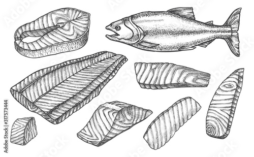 Sketch icons of salmon fish cut, filet and steaks