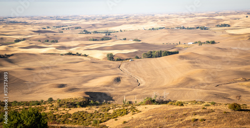 Rolling farmland in Palouse Washington 