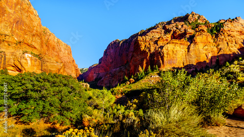 Buck Pasture Mountain at the Lee Pass Trailhead in the Kolob Canyon, the north western area of Zion National Park, Utah, United States