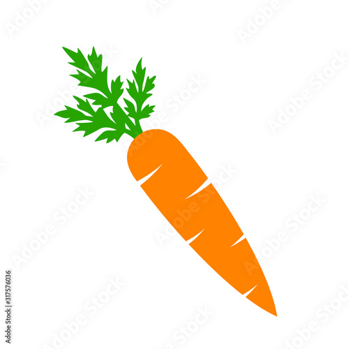 Carrot vector cartoon