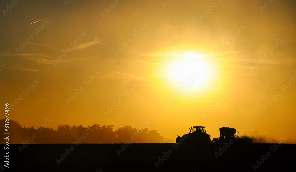 Silhouette of a tractor sowing seeds in a field in a cloud of dust against the background of the setting sun.