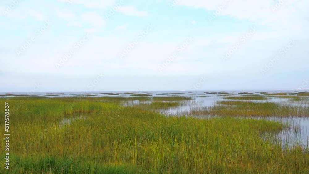 Panorama of thickets in the water. Blue sky and blue waters of the Bay with green Islands of bushes. Panorama of thickets in the water. Blue sky and blue waters of the Bay with green Islands of bushes.